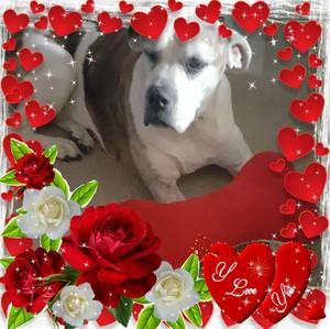 Meet your Posher, Kimmy